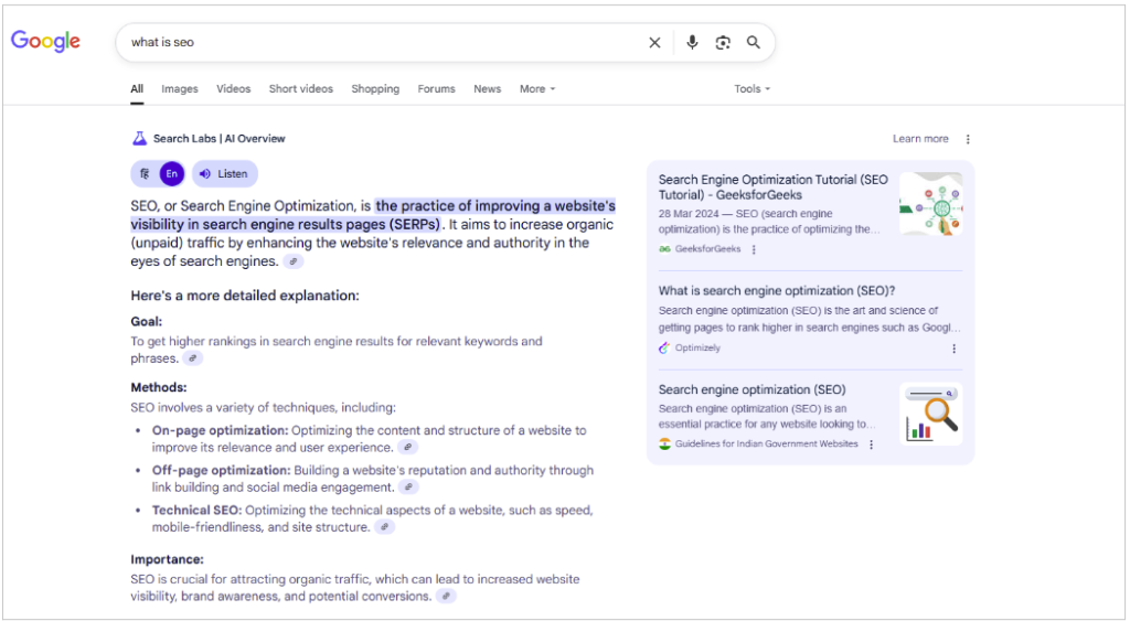 Google search - what is SEO?