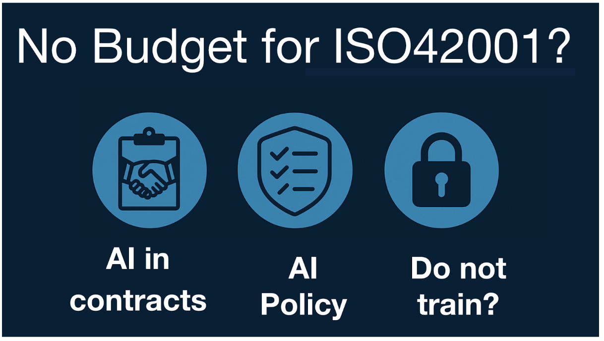 ISO42001 options